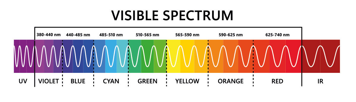 graphic showing the range of visible light in a diagram